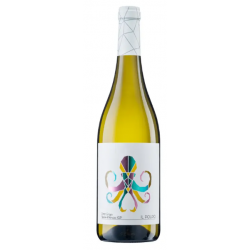 PINOT GRIGIO TERRE D...